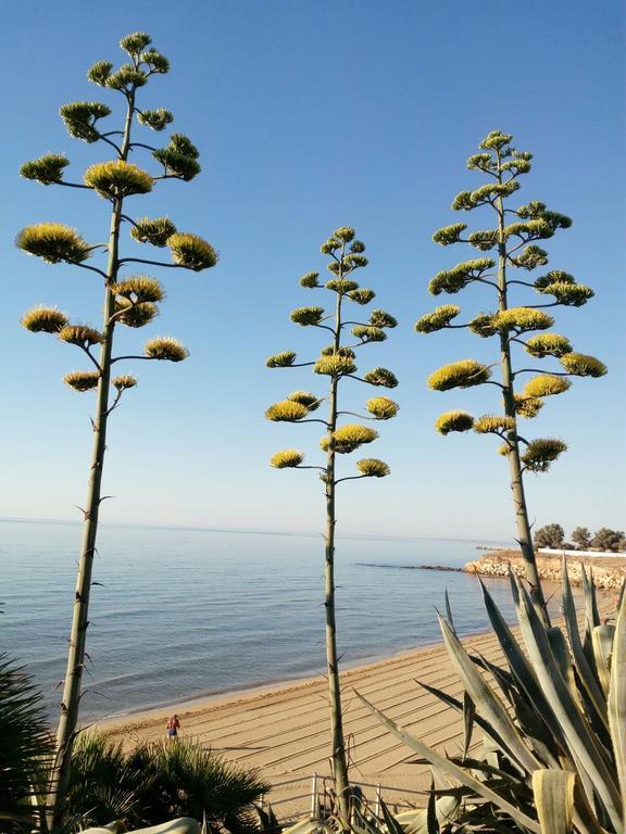 Villa Del Mar Avola Eksteriør bilde